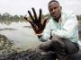Nigerdelta: Menschenrechtsorganisationen klagen Shell wegen Umweltvergiftung an | ZEIT ONLINE